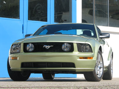 Mustang